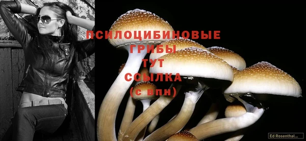 гашишное масло Абинск