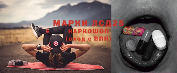 крисы Абаза
