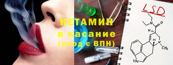 крисы Абаза