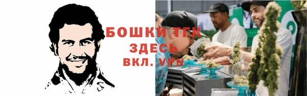 крисы Абаза