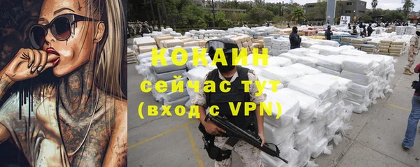 крисы Абаза