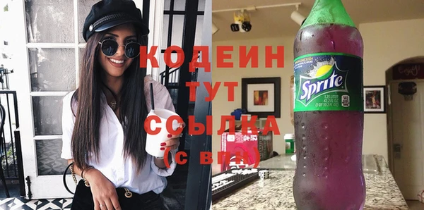 крисы Абаза