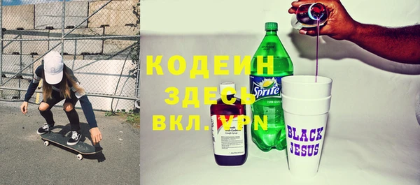 крисы Абаза