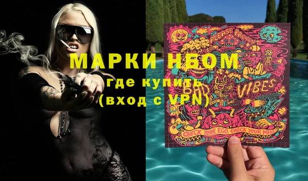 крисы Абаза